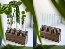 House Plants
Garden Design
Calimesa, CA