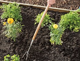 Inventory Garden Tools & Order New Ones
Garden Design
Calimesa, CA