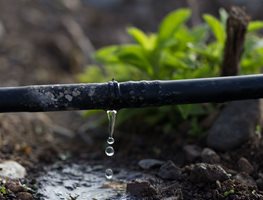 Irrigation Systems
Garden Design
Calimesa, CA