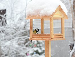 Keep Bird Feeders Clean And Full
Garden Design
Calimesa, CA