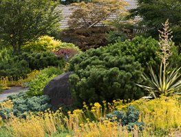 Le-jardinet
Seattle, WA