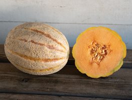 Mature Fruit
Garden Design
Calimesa, CA