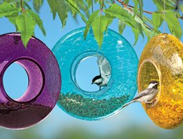 Moon Bird Feeder
Gardener's Supply Company
Burlington, VT