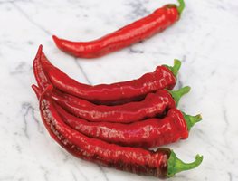 Peppers
Garden Design
Calimesa, CA