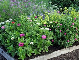 Plan A Complete Cutting Garden
Garden Design
Calimesa, CA