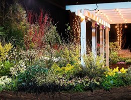 Plan Your Visit To The Northwest Flower & Garden Show
Garden Design
Calimesa, CA