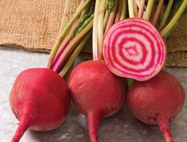 Plant Cool-Season Crops
Garden Design
Calimesa, CA