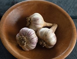 Plant Garlic
Garden Design
Calimesa, CA