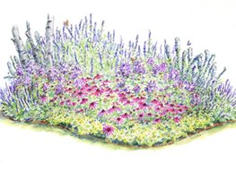 Plant Packages
Garden Design
Calimesa, CA