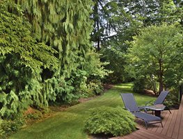 Plant Trees And Shrubs
Garden Design
Calimesa, CA