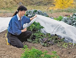 Prepare For Frost
Garden Design
Calimesa, CA