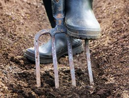 Prepare Garden Beds
Garden Design
Calimesa, CA
