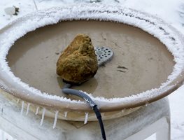 Prepare Ponds, Birdbaths, & Water Features For Freezes
Garden Design
Calimesa, CA