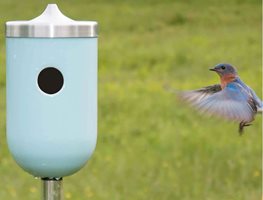 Prepare Ponds & Pull Out Your Bird Feeders
Garden Design
Calimesa, CA