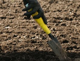 Prepare Soil Now For Spring
Garden Design
Calimesa, CA