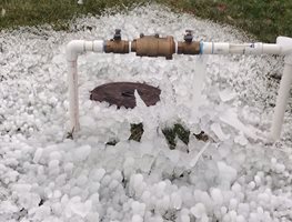 Prepare Water Lines For Freezes
Garden Design
Calimesa, CA