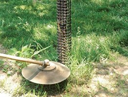 Protect Young Trees & Shrubs
Garden Design
Calimesa, CA