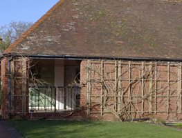 Prune Wisteria And Other Woody Vines
Garden Design
Calimesa, CA