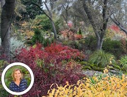 Rebecca Resolutions
Garden Design
Calimesa, CA