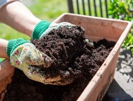 Replenish Soil Without Tilling
Garden Design
Calimesa, CA