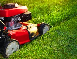 Restart Lawn Care & Tackle Weeds Early
Garden Design
Calimesa, CA