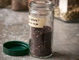 Save Seeds
Garden Design
Calimesa, CA