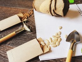 Save Seeds
Garden Design
Calimesa, CA