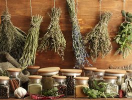 Save Your Summer Bounty
Garden Design
Calimesa, CA