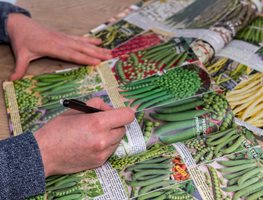 Seed Catalogs
GAP Photos