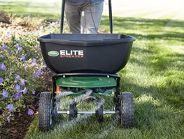 Seeding Grass
Garden Design
Calimesa, CA