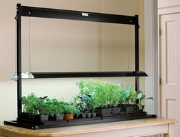 Sow Cool-Season Crops Indoors
Garden Design
Calimesa, CA