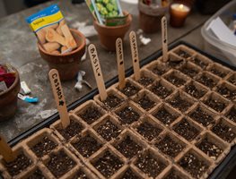 Sow Seeds For Summer Crops
Garden Design
Calimesa, CA