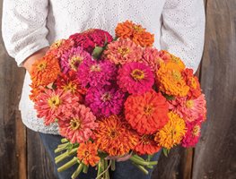 Sow Summer Crops
Garden Design
Calimesa, CA