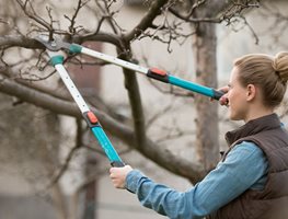Start Pruning Dormant Trees & Shrubs
Garden Design
Calimesa, CA