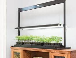 Start Summer Crops Indoors
Garden Design
Calimesa, CA