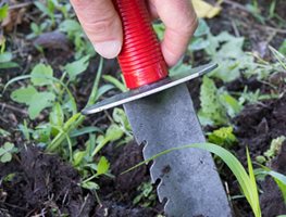Stay On Top Of Weeds
Garden Design
Calimesa, CA