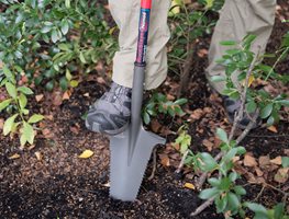 Stay On Top Of Weeds
Garden Design
Calimesa, CA