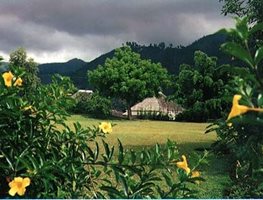 Strawberry Hill Irish Town, Jamaica