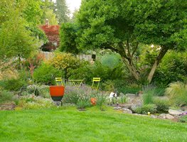 Summertime, Garden
Winterbloom
Tigard, OR