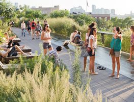 The High Line
Garden Design
Calimesa, CA