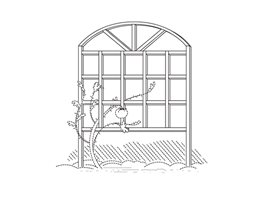 Trellis
Brenda Weaver (Illustrator)
,