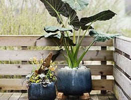 Update Your Containers, Structures & Garden Ornament Collection
Garden Design
Calimesa, CA