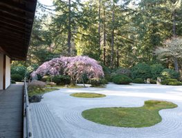 Visit A Garden Or Conservancy
Garden Design
Calimesa, CA