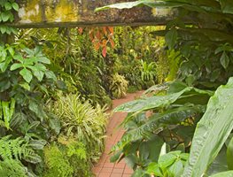 Visit A Southern Conservatory
Garden Design
Calimesa, CA