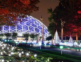 Visit Seasonal Exhibits At Botanic Gardens
Garden Design
Calimesa, CA