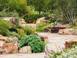 Visit The Gardens On Spring Creek In Fort Collins
Garden Design
Calimesa, CA