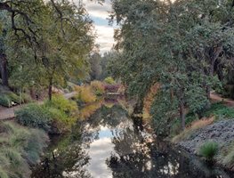 Visit The Uc Davis Arboretum
Garden Design
Calimesa, CA