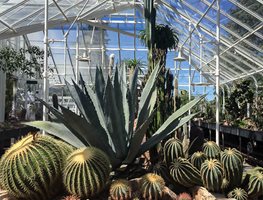 Visit The Volunteer Park Conservatory
Garden Design
Calimesa, CA