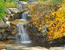 Waterfall, Fall Leaves
Garden Design
Calimesa, CA