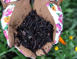 Garden Therapy Course
Garden Design
Calimesa, CA